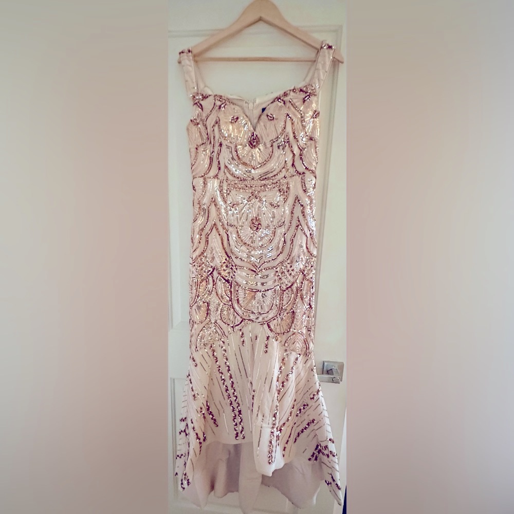Bariano Australia Mermaid Embroidery Sequins Rose Gold Gown Sz 10
